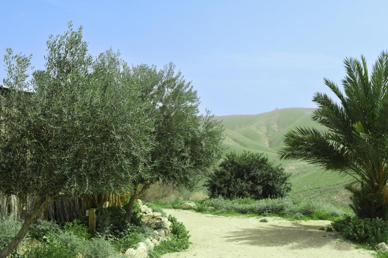 Genesis Land Desert Hospitality Kfar Adumim Екстериор снимка
